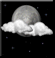 Monday Night: Partly cloudy, with a low around 62. Monday Night: Partly Cloudy
