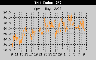 THW Index